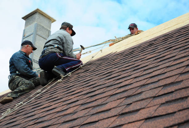 Best Emergency Roof Repair  in Van, TX